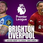 Nhận định trận giữa Liverpool đấu với Brighton: cập nhật